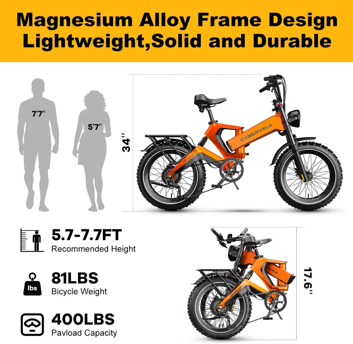 Folding Electric Bike